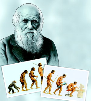 다윈의 부활] 다윈 진화론의 핵심은 종의 다양성 - 매일경제
