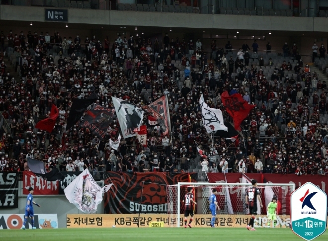 FC Seoul is the most popular team in Korean professional sports.